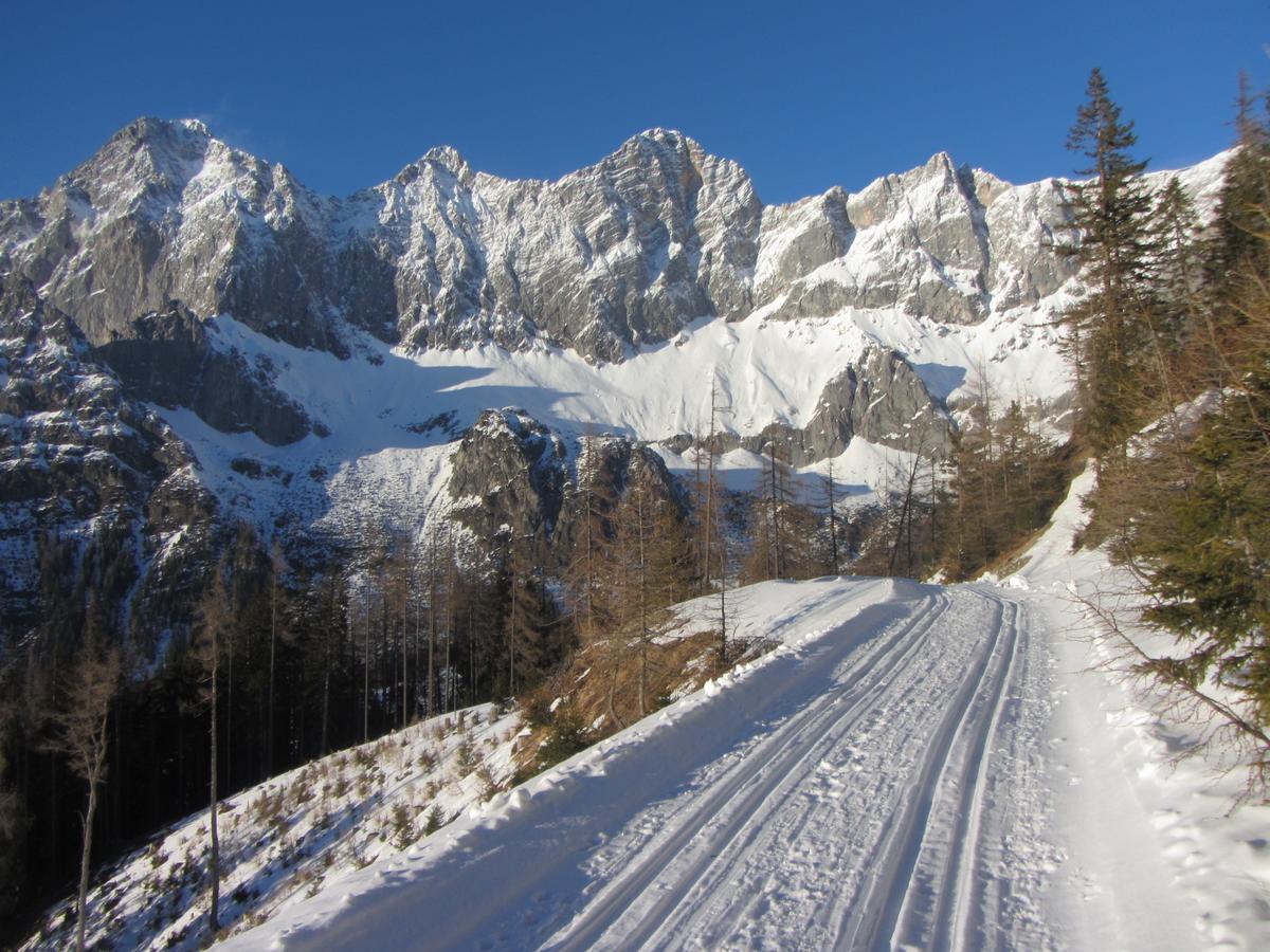 Gloesalm Leilighet Ramsau am Dachstein Eksteriør bilde