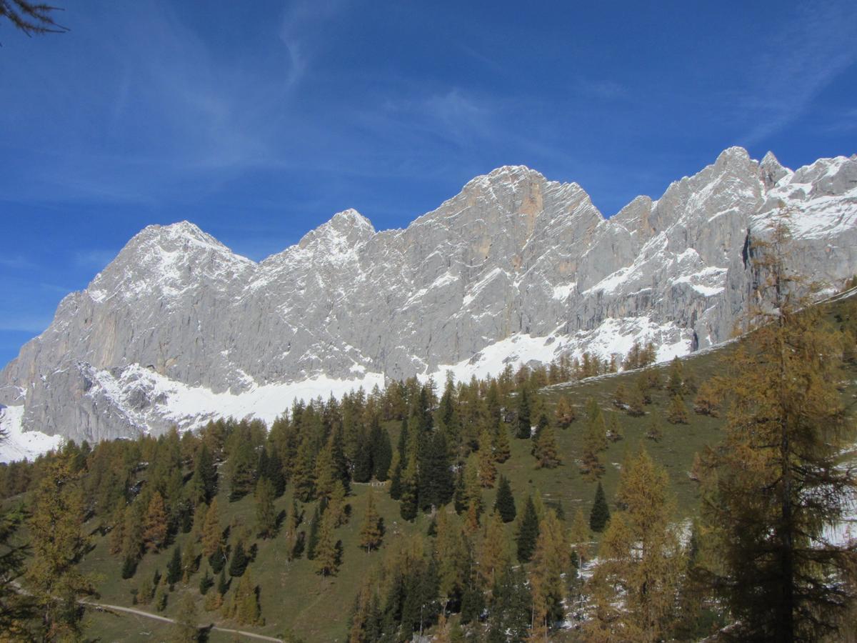Gloesalm Leilighet Ramsau am Dachstein Eksteriør bilde